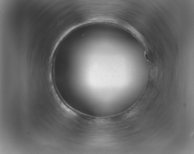 X0000071391102200607071901