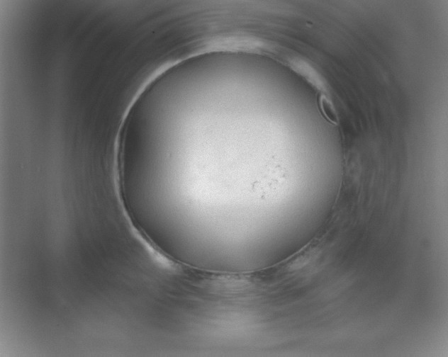 X0000071391103200607071901