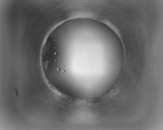 X0000071391104200607071901