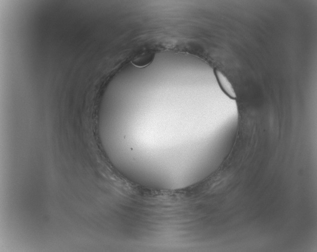 X0000071391105200607071901