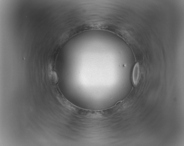 X0000071391106200607071901