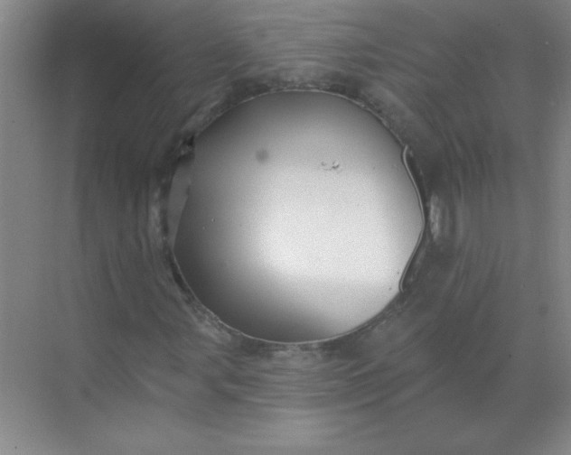 X0000071391107200607071901