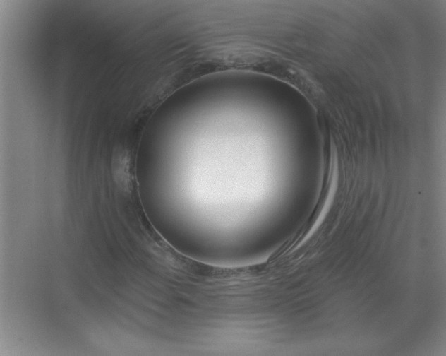 X0000071391108200607071901