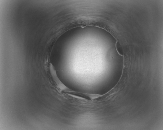 X0000071391109200607071901