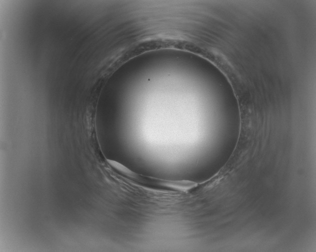 X0000071391110200607071901