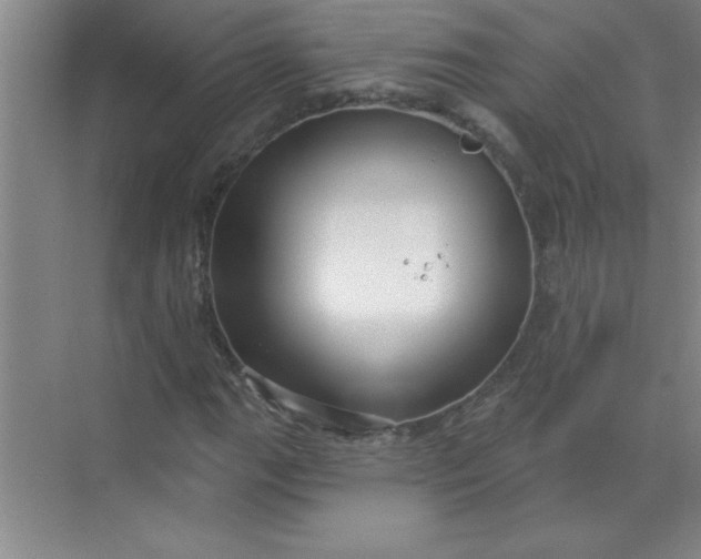 X0000071391111200607071901