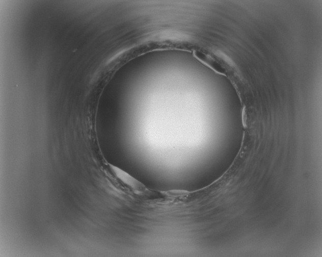 X0000071391112200607071901