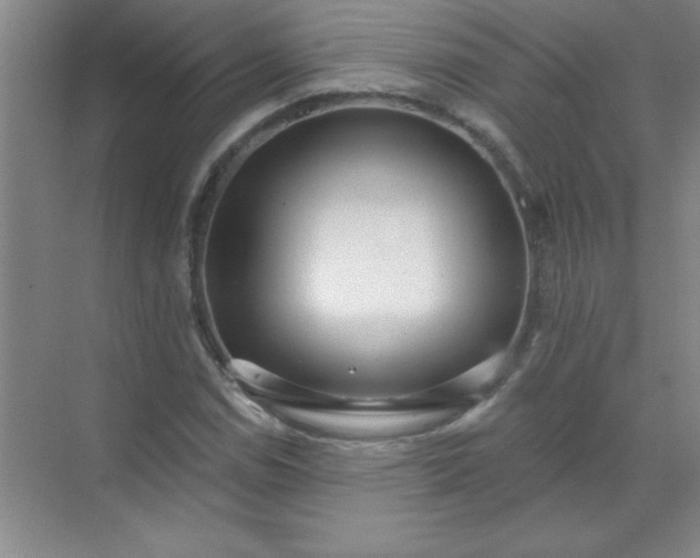 X0000071391114200607071901