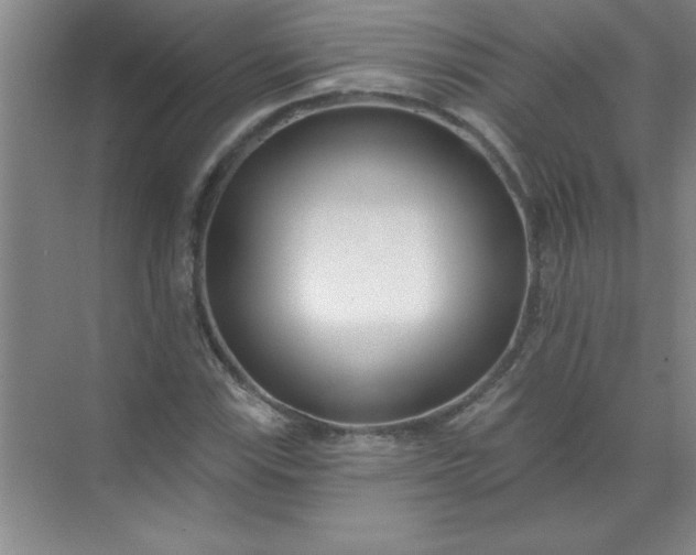 X0000071391115200607071901