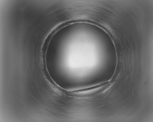 X0000071391118200607071901