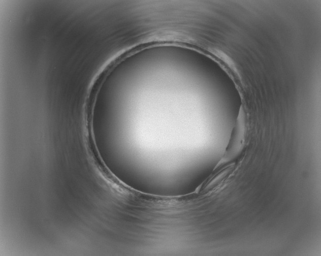 X0000071391120200607071901