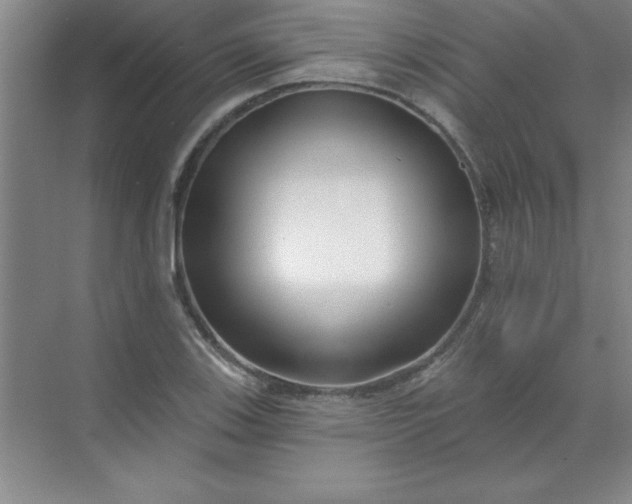 X0000071391123200607071901