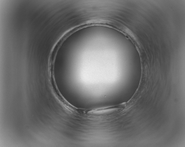 X0000071391124200607071901