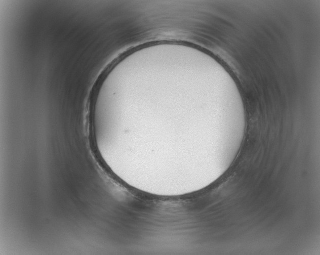 X0000071391126200607071901