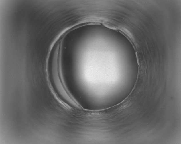 X0000071391128200607071901