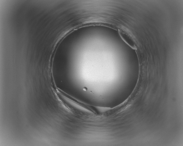 X0000071391129200607071901