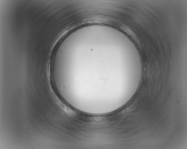 X0000071391130200607071901