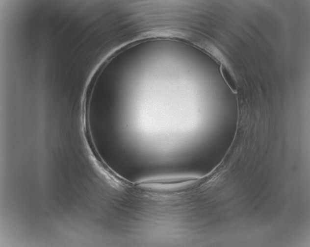 X0000071391132200607071901