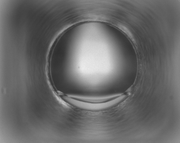 X0000071391136200607071901