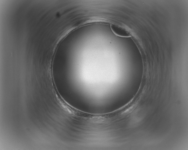 X0000071391137200607071901