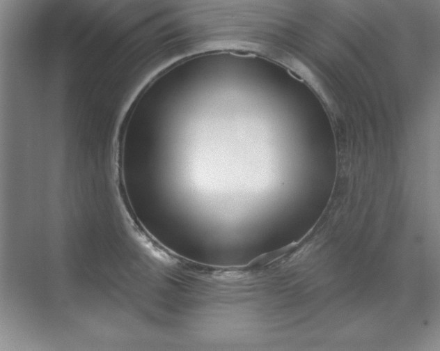 X0000071391140200607071901