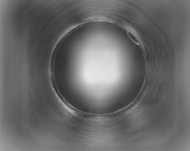 X0000071391141200607071901