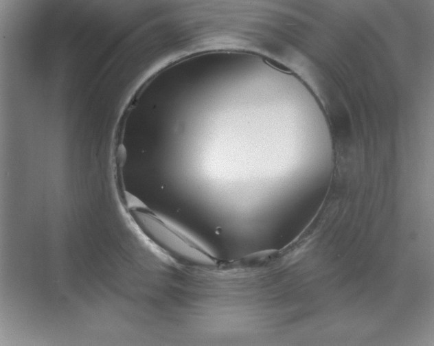 X0000071391142200607071901