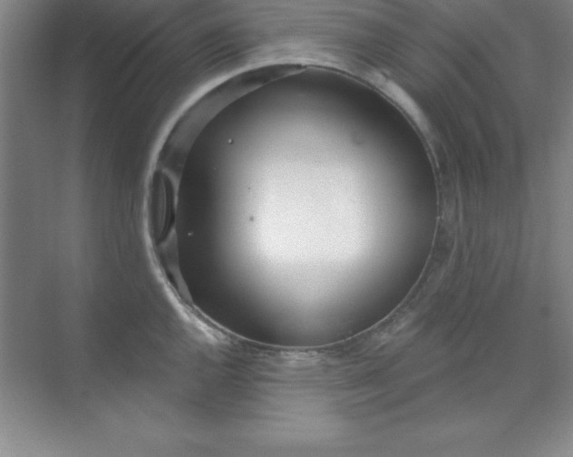 X0000071391144200607071901