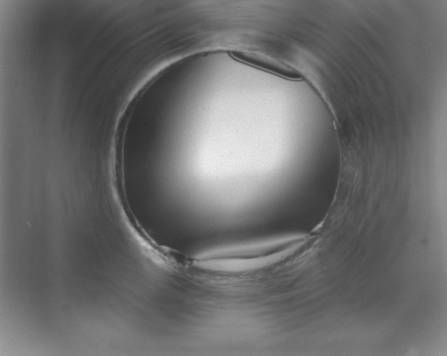 X0000071391147200607071901