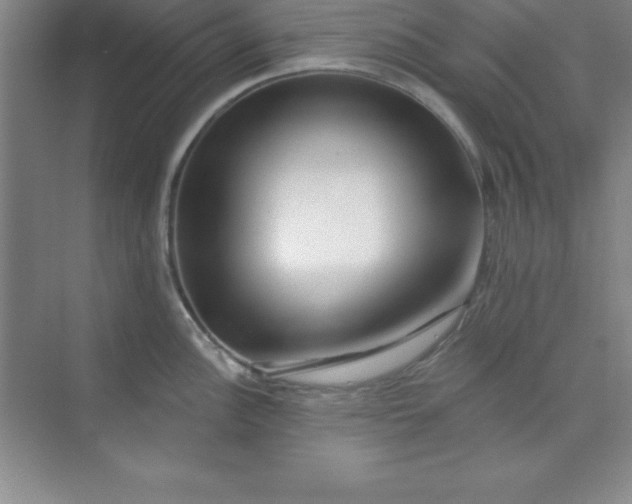 X0000071391148200607071901