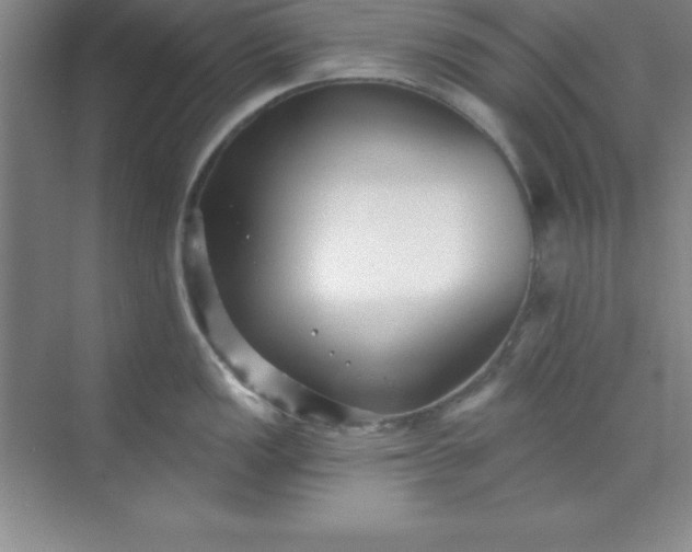 X0000071391149200607071901