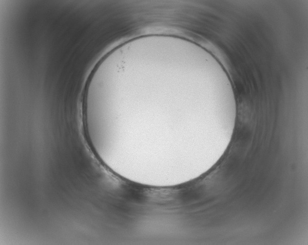 X0000071391150200607071901