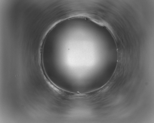 X0000071391151200607071901