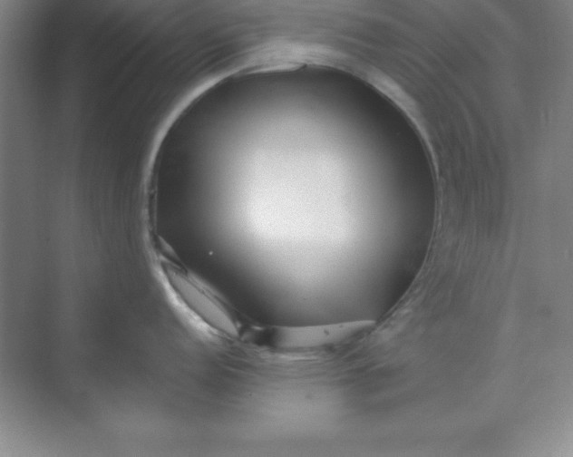 X0000071391152200607071901