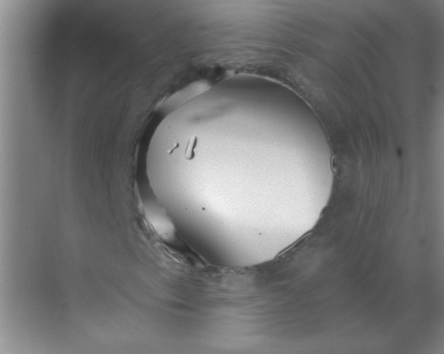 X0000071391153200607071901