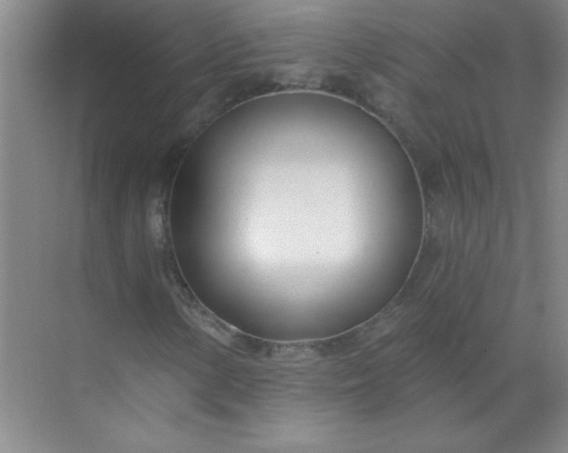 X0000071391154200607071901