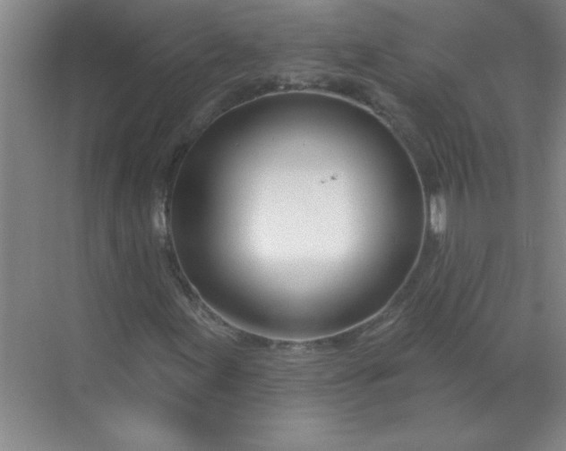 X0000071391155200607071901