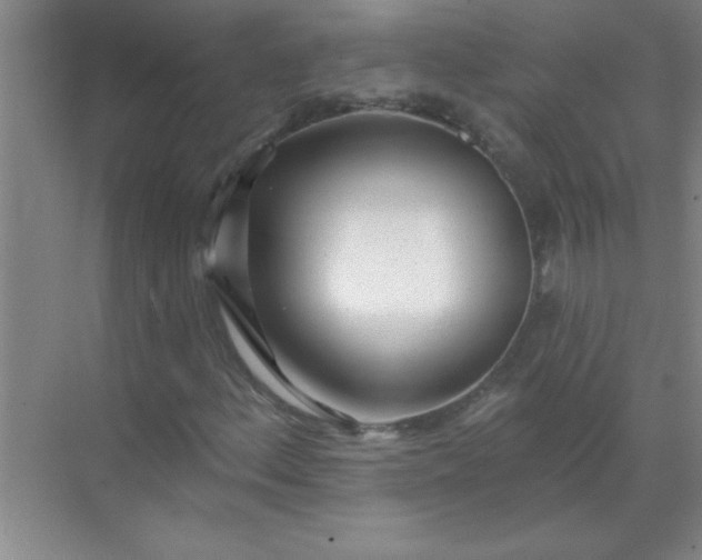 X0000071391156200607071901