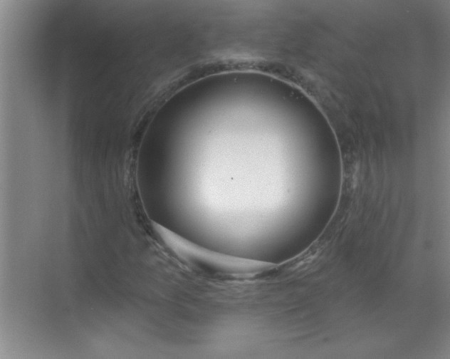 X0000071391157200607071901