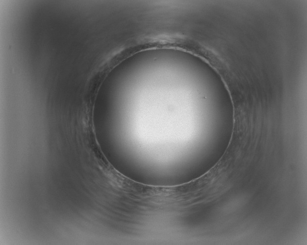 X0000071391158200607071901