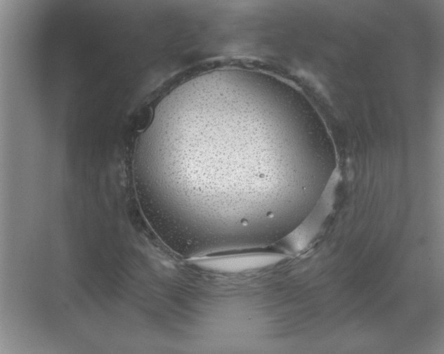 X0000071391159200607071900