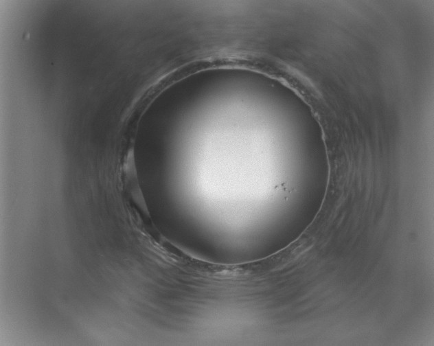 X0000071391160200607071900