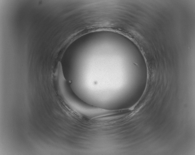 X0000071391161200607071900