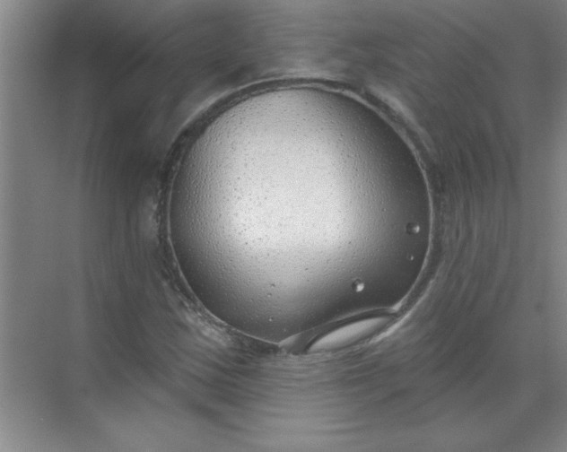 X0000071391163200607071900