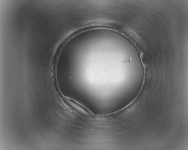 X0000071391164200607071900