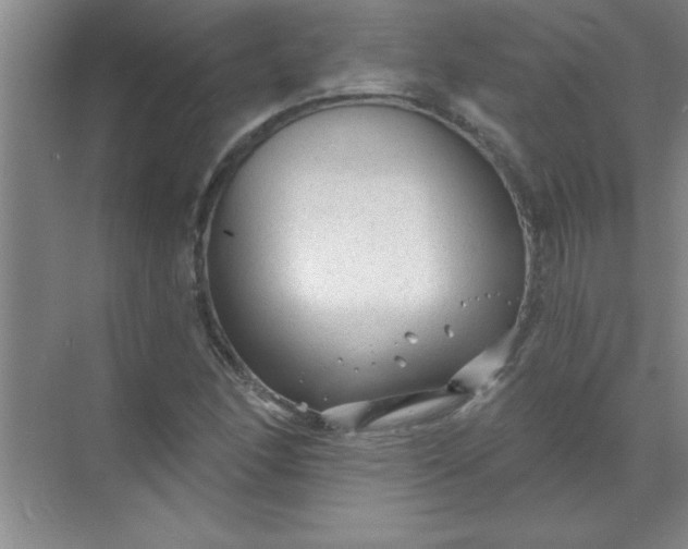 X0000071391166200607071900