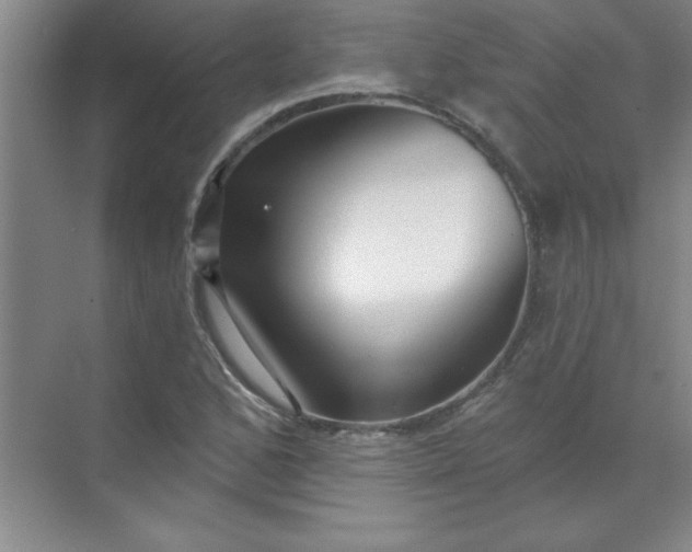 X0000071391168200607071900