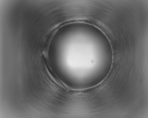 X0000071391169200607071900