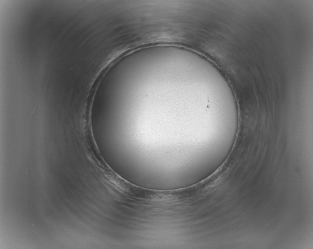 X0000071391170200607071900