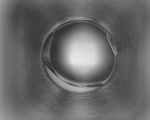 X0000071391173200607071900